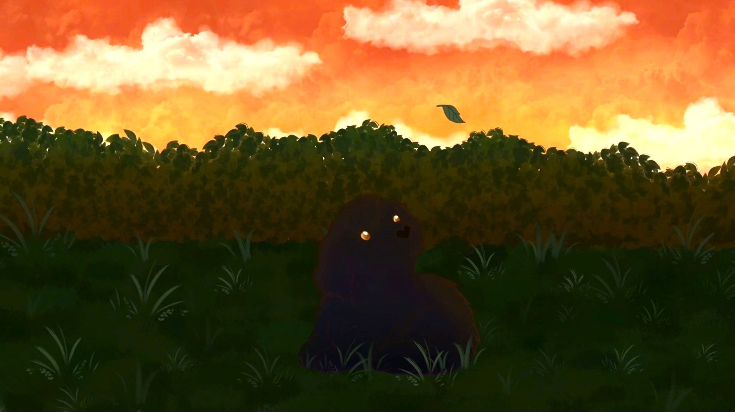 Animation